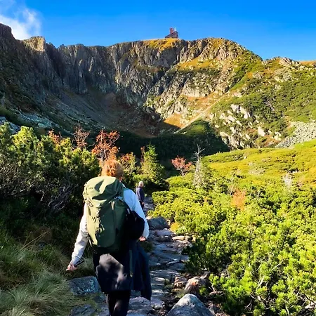 Daire Heart Of Polen *