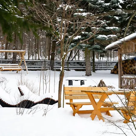 Apartment Heart Of Polen Piechowice (Karkonosze)
