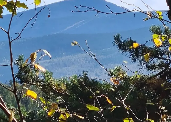 Heart Of Polen Апартаменты Пеховице