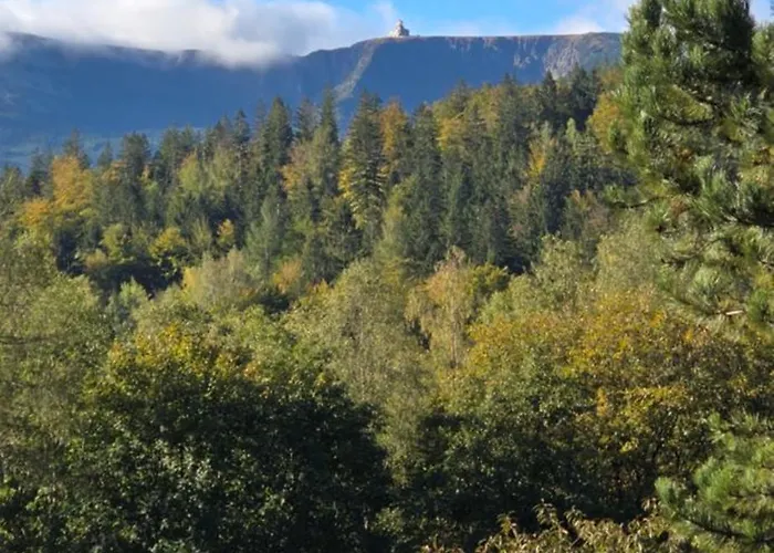 Heart Of Polen Апартаменты *