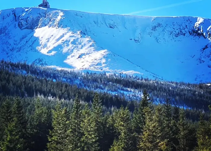 Апартаменты Heart Of Polen Пеховице