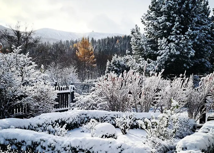 Апартаменты Heart Of Polen Пеховице