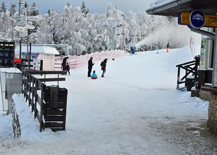 Heart Of Polen Апартаменты Пеховице