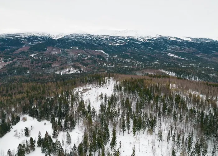 Apartment Heart Of Polen *